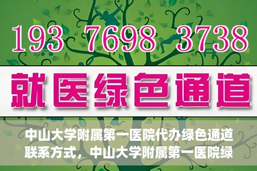 中山大学附属第一医院代办绿色通道联系方式，中山大学附属第一医院绿色通道代办服务联系方式揭秘