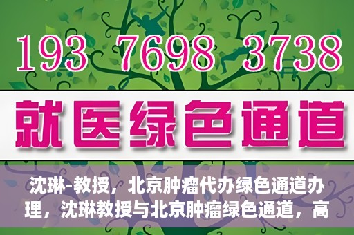 沈琳-教授，北京肿瘤代办绿色通道办理，沈琳教授与北京肿瘤绿色通道，高效代办助力健康之路