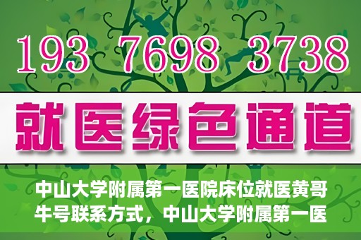 中山大学附属第一医院床位就医黄哥牛号联系方式，中山大学附属第一医院床位就医攻略，黄哥牛号联系方式揭秘