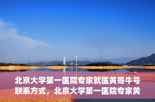 北京大学第一医院专家就医黄哥牛号联系方式，北京大学第一医院专家黄哥牛号联系方式及就医指南