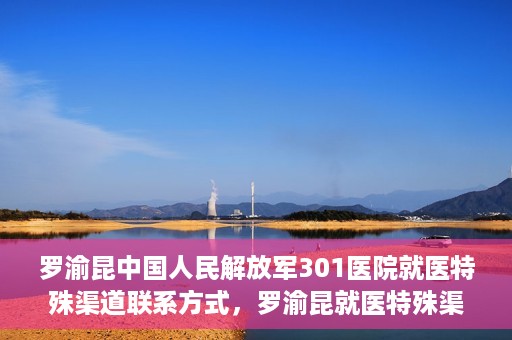 罗渝昆中国人民解放军301医院就医特殊渠道联系方式，罗渝昆就医特殊渠道揭秘，中国人民解放军301医院联系方式解密