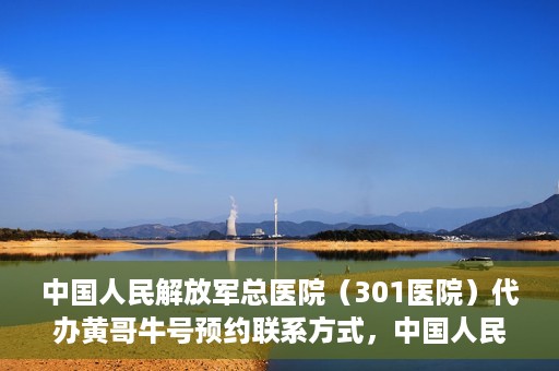 中国人民解放军总医院（301医院）代办黄哥牛号预约联系方式，中国人民解放军总医院（301医院）黄哥牛号预约联系方式全解析