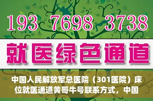 中国人民解放军总医院（301医院）床位就医通道黄哥牛号联系方式，中国人民解放军总医院（301医院）床位就医通道详解，黄哥牛号联系方式及就医指南