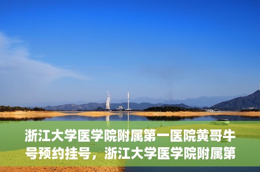 浙江大学医学院附属第一医院黄哥牛号预约挂号，浙江大学医学院附属第一医院黄哥牛号预约挂号攻略详解