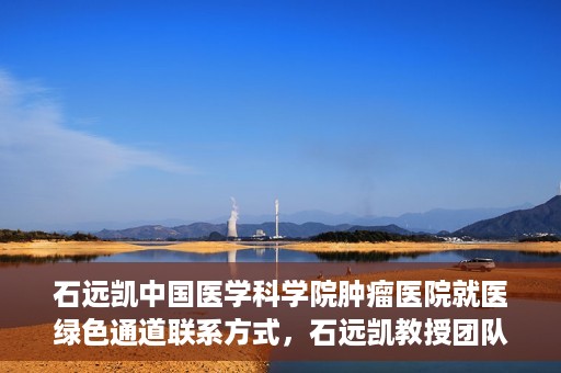 石远凯中国医学科学院肿瘤医院就医绿色通道联系方式，石远凯教授团队就医绿色通道联系方式——中国医学科学院肿瘤医院就医指南