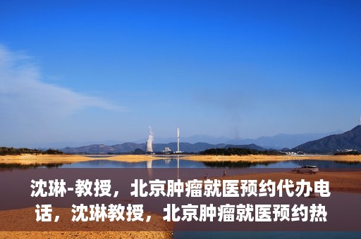 沈琳-教授，北京肿瘤就医预约代办电话，沈琳教授，北京肿瘤就医预约热线，便捷代办助您无忧就医