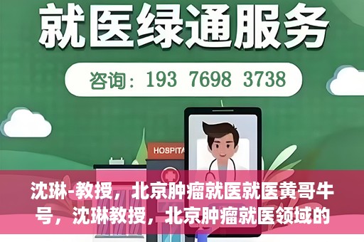 沈琳-教授，北京肿瘤就医就医黄哥牛号，沈琳教授，北京肿瘤就医领域的权威解读与黄哥牛号就医指南