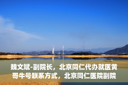 魏文斌-副院长，北京同仁代办就医黄哥牛号联系方式，北京同仁医院副院长魏文斌与就医黄哥，牛号联系方式背后的故事