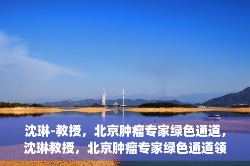 沈琳-教授，北京肿瘤专家绿色通道，沈琳教授，北京肿瘤专家绿色通道领航者