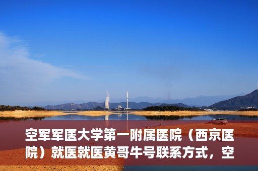 空军军医大学第一附属医院（西京医院）就医就医黄哥牛号联系方式，空军军医大学第一附属医院（西京医院）就医指南及黄哥牛号联系方式揭秘