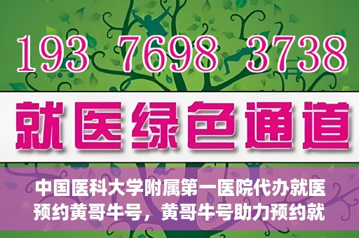 中国医科大学附属第一医院代办就医预约黄哥牛号，黄哥牛号助力预约就医，中国医科大学附属第一医院代办服务解析