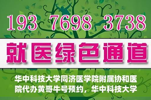 华中科技大学同济医学院附属协和医院代办黄哥牛号预约，华中科技大学同济医学院附属协和医院预约挂号代办服务解析——黄哥牛号预约攻略揭秘
