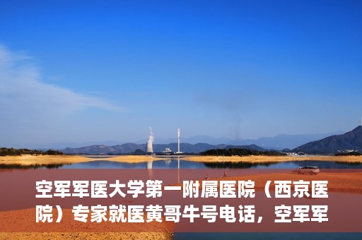 空军军医大学第一附属医院（西京医院）专家就医黄哥牛号电话，空军军医大学第一附属医院黄哥牛号电话专家就医解析与指南