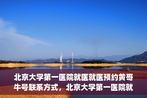 北京大学第一医院就医就医预约黄哥牛号联系方式，北京大学第一医院就医预约指南，黄哥牛号联系方式全解析