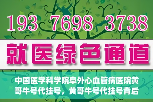 中国医学科学院阜外心血管病医院黄哥牛号代挂号，黄哥牛号代挂号背后的故事，阜外心血管病医院的探索与挑战