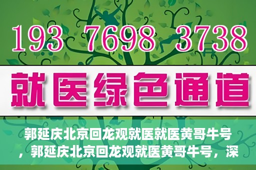 郭延庆北京回龙观就医就医黄哥牛号，郭延庆北京回龙观就医黄哥牛号，深度医疗体验与解读