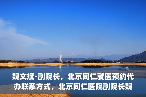 魏文斌-副院长，北京同仁就医预约代办联系方式，北京同仁医院副院长魏文斌，预约代办流程及联系方式解析
