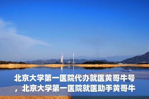 北京大学第一医院代办就医黄哥牛号，北京大学第一医院就医助手黄哥牛号助您轻松挂号就医