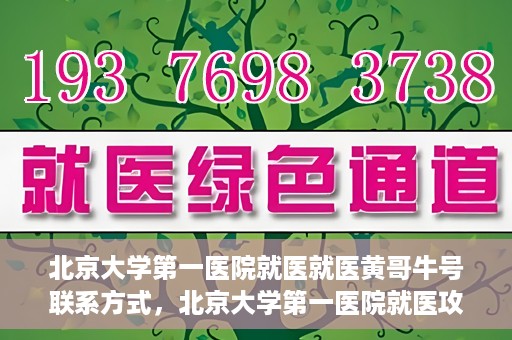北京大学第一医院就医就医黄哥牛号联系方式，北京大学第一医院就医攻略，黄哥牛号联系方式全解析