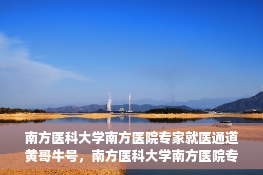 南方医科大学南方医院专家就医通道黄哥牛号，南方医科大学南方医院专家就医通道揭秘，黄哥牛号引领健康之路