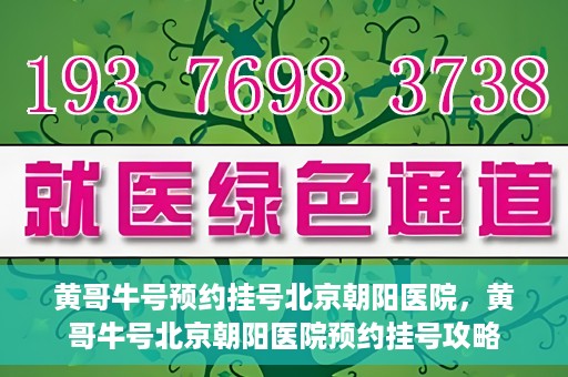 黄哥牛号预约挂号北京朝阳医院，黄哥牛号北京朝阳医院预约挂号攻略