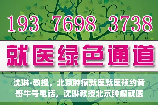 沈琳-教授，北京肿瘤就医就医预约黄哥牛号电话，沈琳教授北京肿瘤就医预约热线揭秘，黄哥牛号电话助您轻松挂号就医