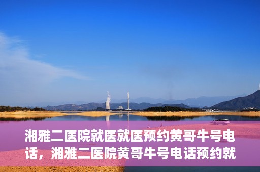 湘雅二医院就医就医预约黄哥牛号电话，湘雅二医院黄哥牛号电话预约就医攻略，轻松挂号，便捷就医体验