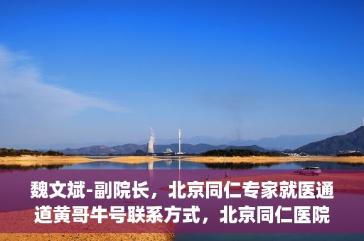 魏文斌-副院长，北京同仁专家就医通道黄哥牛号联系方式，北京同仁医院副院长魏文斌与专家就医通道，黄哥牛号联系方式揭秘