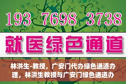 林洪生-教授，广安门代办绿色通道办理，林洪生教授与广安门绿色通道办理，专家解读与高效代办之道