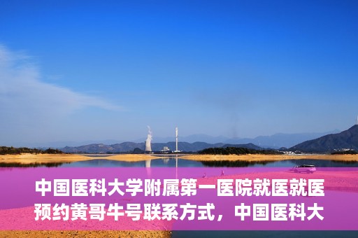 中国医科大学附属第一医院就医就医预约黄哥牛号联系方式，中国医科大学附属第一医院就医预约指南，黄哥牛号联系方式揭秘