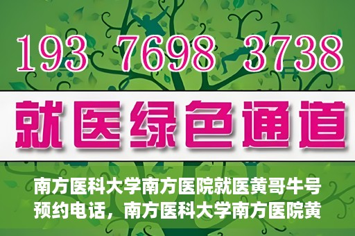 南方医科大学南方医院就医黄哥牛号预约电话，南方医科大学南方医院黄哥牛号预约电话详解，轻松就医新选择