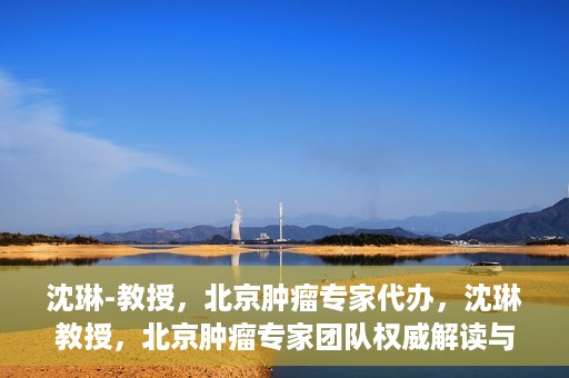 沈琳-教授，北京肿瘤专家代办，沈琳教授，北京肿瘤专家团队权威解读与代办服务解析