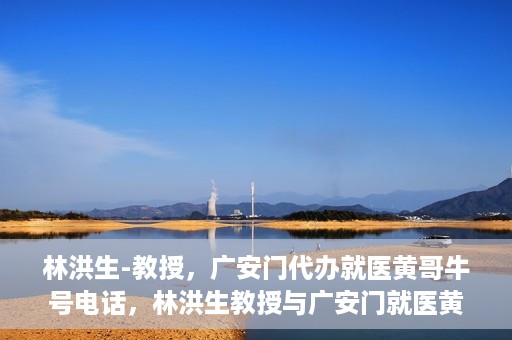 林洪生-教授，广安门代办就医黄哥牛号电话，林洪生教授与广安门就医黄哥，背后的故事与牛号电话揭秘