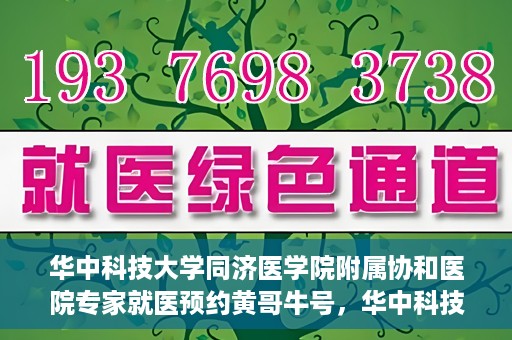 华中科技大学同济医学院附属协和医院专家就医预约黄哥牛号，华中科技大学同济医学院附属协和医院专家就医预约系统，黄哥牛号助您轻松预约专家号