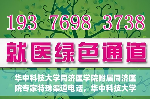 华中科技大学同济医学院附属同济医院专家特殊渠道电话，华中科技大学同济医院专家特殊渠道电话专线揭秘