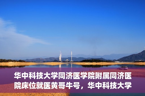 华中科技大学同济医学院附属同济医院床位就医黄哥牛号，华中科技大学同济医院床位就医攻略，黄哥牛号助您轻松预约就医