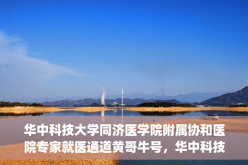 华中科技大学同济医学院附属协和医院专家就医通道黄哥牛号，华中科技大学同济医学院附属协和医院专家就医通道，黄哥牛号专家预约指南