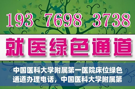 中国医科大学附属第一医院床位绿色通道办理电话，中国医科大学附属第一医院床位绿色通道咨询热线揭秘