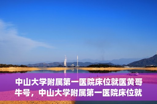 中山大学附属第一医院床位就医黄哥牛号，中山大学附属第一医院床位就医攻略，黄哥牛号助您轻松挂号就医