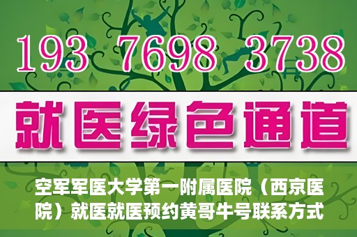 空军军医大学第一附属医院（西京医院）就医就医预约黄哥牛号联系方式，空军军医大学第一附属医院（西京医院）预约挂号联系方式揭秘，黄哥牛号助您轻松就医体验。