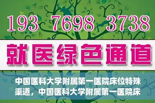 中国医科大学附属第一医院床位特殊渠道，中国医科大学附属第一医院床位特殊预约渠道揭秘