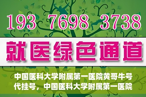 中国医科大学附属第一医院黄哥牛号代挂号，中国医科大学附属第一医院黄哥牛号代挂号服务详解