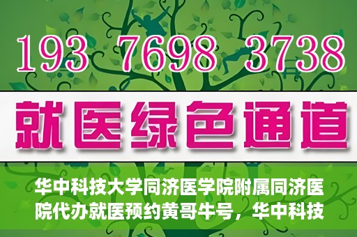 华中科技大学同济医学院附属同济医院代办就医预约黄哥牛号，华中科技大学同济医院黄哥牛号预约代办服务指南