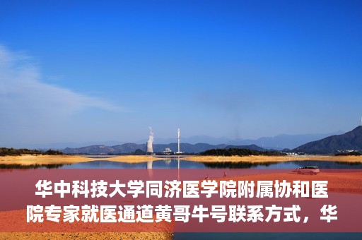 华中科技大学同济医学院附属协和医院专家就医通道黄哥牛号联系方式，华中科技大学同济医学院附属协和医院专家就医通道，黄哥牛号联系方式全解析