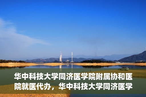 华中科技大学同济医学院附属协和医院就医代办，华中科技大学同济医学院附属协和医院就医代办服务详解