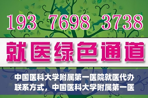 中国医科大学附属第一医院就医代办联系方式，中国医科大学附属第一医院就医代办服务联系方式及流程解析