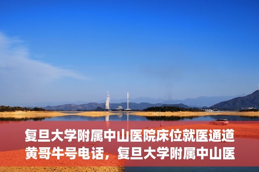 复旦大学附属中山医院床位就医通道黄哥牛号电话，复旦大学附属中山医院床位就医通道黄哥牛号电话详解，一站式解决就医难题的权威渠道揭秘