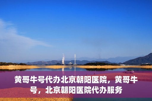 黄哥牛号代办北京朝阳医院，黄哥牛号，北京朝阳医院代办服务