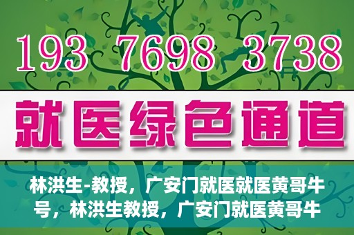 林洪生-教授，广安门就医就医黄哥牛号，林洪生教授，广安门就医黄哥牛号的探索与实践