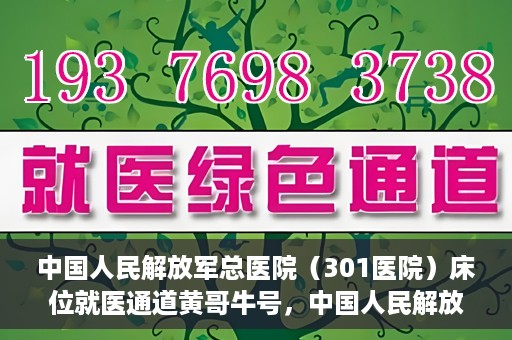 中国人民解放军总医院（301医院）床位就医通道黄哥牛号，中国人民解放军总医院（301医院）床位就医通道详解，黄哥牛号助您快速就医！